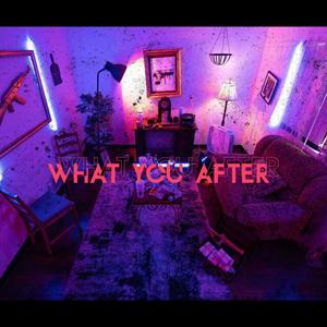 What You After (Explicit)