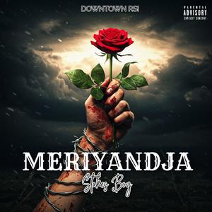 Stakes boy - Meriyandja (Haart Se Punt)