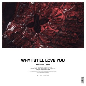 Why I Still Love You (Original Mix)