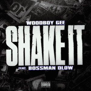 Shake It (feat. BossMan Dlow) [Explicit]