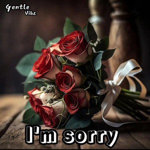 I'm Sorry (Explicit)