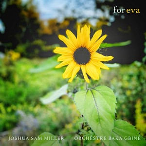 Joshua Sam Miller - For Eva