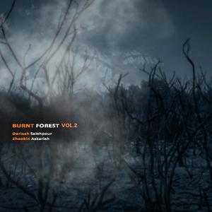 Burnt Forest, Vol. 2 (feat. Zhoobin Askarieh)