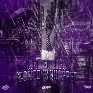 Olivia(feat. D.J. Red, David Luke & Ejay)(Slowed & Chopped)