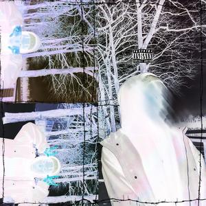 #wedding #rings (Explicit)