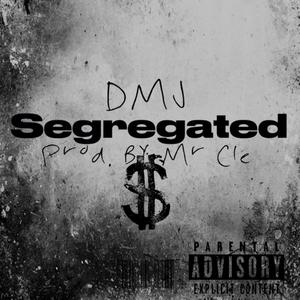 Segregated (Explicit)