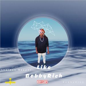 Like BobbyRich (Explicit)
