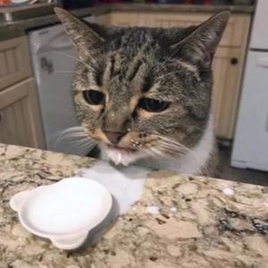 benzodiazepines (Explicit)