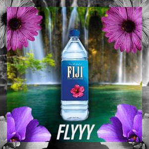 FIJI (Explicit)