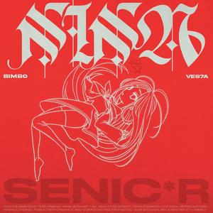NINA (feat. VES7A) (Explicit)