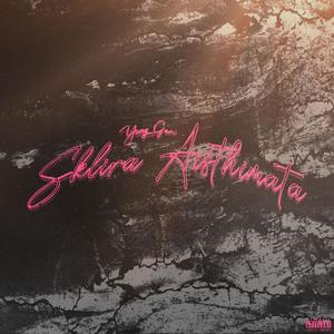 Sklira Aisthimata (Explicit)