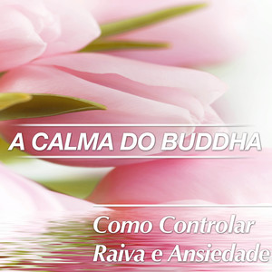 A Calma do Buddha: Como Controlar a Raiva e Ansiedade para Dormir Bem com Música Relaxante