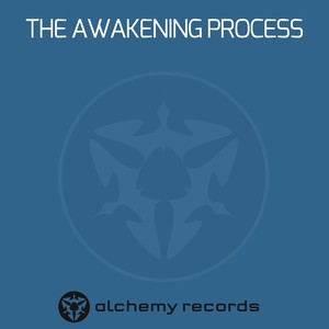 The Awakening Process