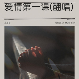 爱情第一课封面