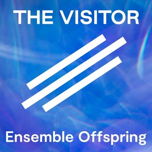 The Visitor (Sorry, I can't stay)