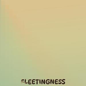 Fleetingness