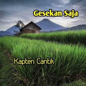 Gesekan Saja