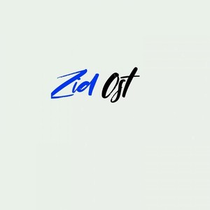 Zid Ost