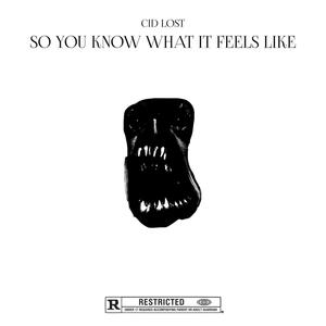 so you know what it feels like (Explicit)