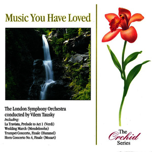 Concerto for Trumpet & Orchestra in E-Flat Major, S.49: III. Finale - Allegro