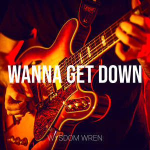 Wanna Get Down