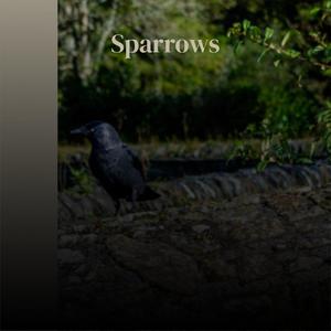 Sparrows