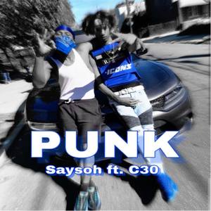 Punk (Explicit)