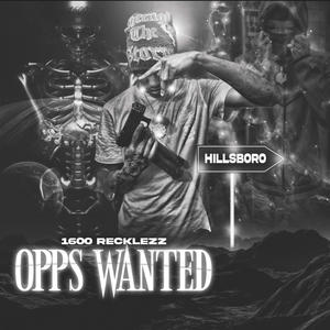 Opps Wanted (Explicit)