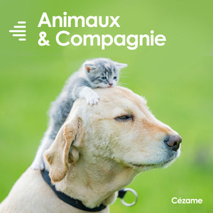 Animaux & Compagnie