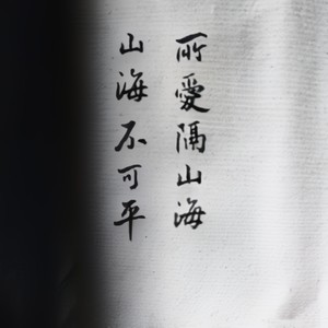 执迷不悟了 (DJ版)