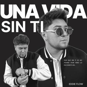 Una Vida Sin Ti