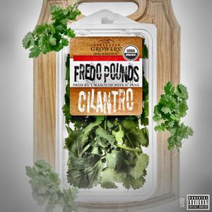 Cilantro (Explicit)