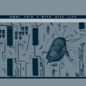 Byte Size Life (Shimon Remix) / Byte Size Life (Mr Scruff Remix)