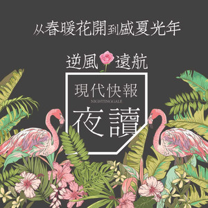 歌之初 - 远航 (南京太阳宫剧场现场版)封面