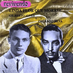 Linda Flor Que Morreu