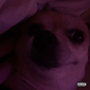 Love Nobody (Explicit)