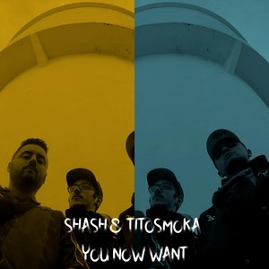 You Now Want (Explicit)