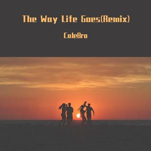 The Way Life Goes(Remix)