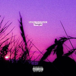 Tonight (feat. KnockedOutColt) (Explicit)