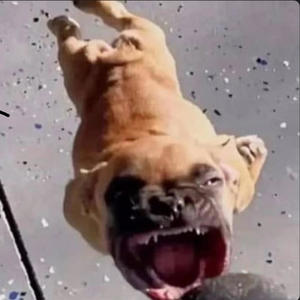 LockJaw (feat. mfsleep & racks5) (Explicit)