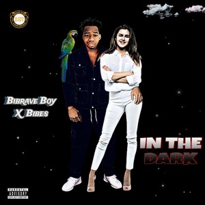 In The Dark (Explicit)
