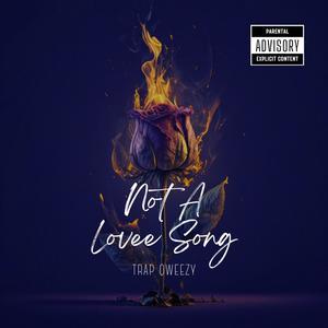 Not A Lovee Song (Explicit)