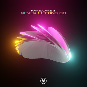 Never Letting Go (Extended Mix)