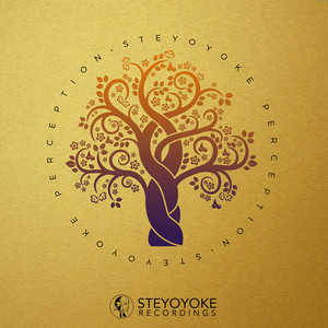 Steyoyoke Perception, Vol. 06