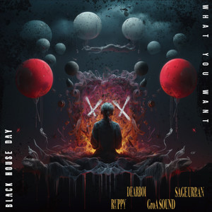 블랙 하우스 데이 - What U Want (Origenal mix)