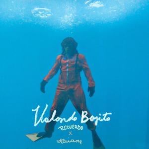 Volando Bajito (feat. Taiana)