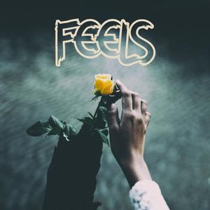 Feels (Explicit)