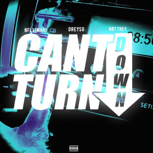 Can't Turn Down (Explicit)