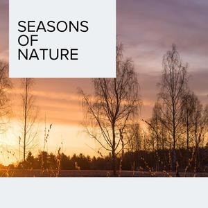 Seasons of Nature