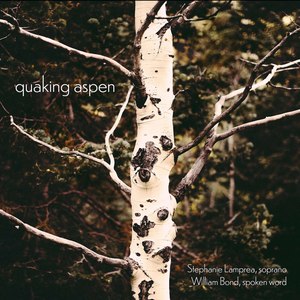 Quaking Aspen